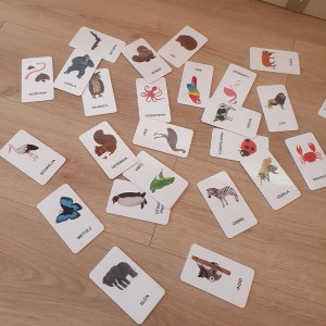 AdoZejka Zivali 19
